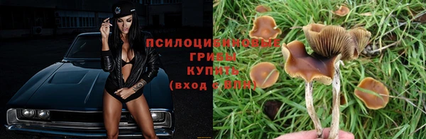 дурь Аркадак