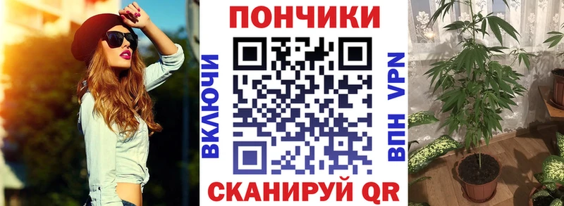 сколько стоит  Ахтубинск  Каннабис OG Kush 